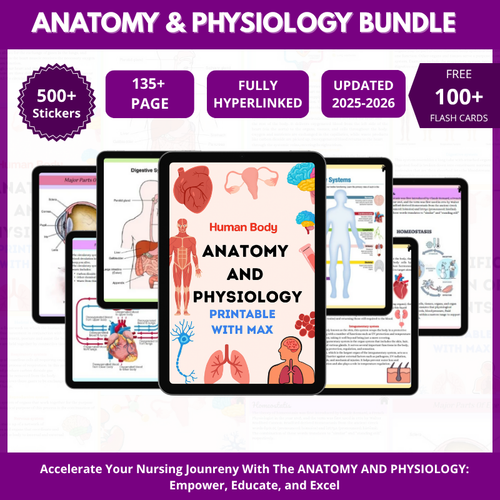 Anatomy & Physiology Bundle with Flashcards and Stickers | Anatomy Study Guide | Nursing School Notes | Medical Notes | Instant Download PDF